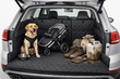 Boot mat for a dog, stroller and dirty cargo: what to choose photo 1