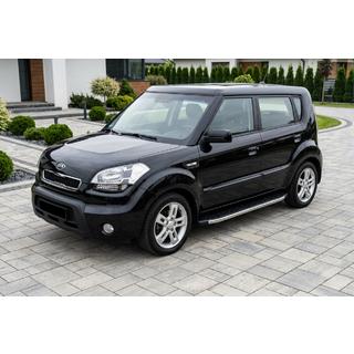 Side Steps BlackLine (2 pcs, Aluminum) photo 1