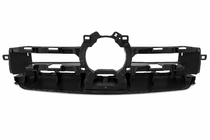 Mercedes GLE coupe C167 2019- Front grille frame photo 2