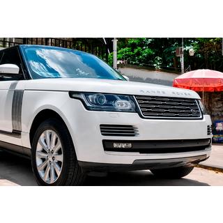 L460-style radiator grille (2013-2018) photo 1