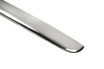 Daewoo Lanos 1998-2017 Rear Trim Stainless Steel photo 2