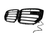 BMW X5 G05 2019–2026 Kidney Grilles X5M F95 Design LED (2023+) photo 2