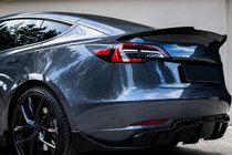Tesla Model 3 2017- Fast Spoiler (for 2017-2023) photo 4
