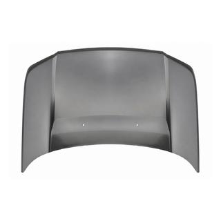 Bonnet (2010)
