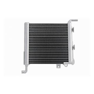 Left side radiator