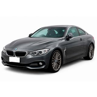 Front lip spoiler DPT (for Base, gloss black) photo 1