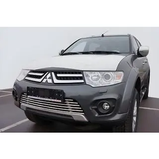 Front Grille Guard