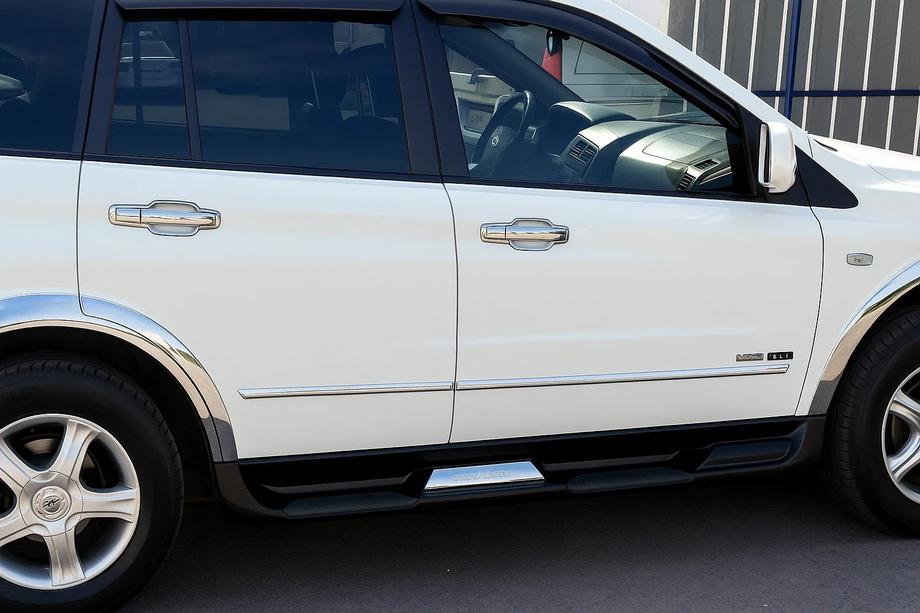 SsangYong Kyron 2005-2014 Chrome Door Handle Covers (4 pcs, plastic) Image