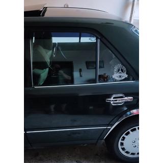 Window Trim Stainless Steel (4 pcs) photo 4