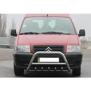 Bull Bar WT003 (Stainless Steel) photo 3