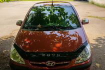 Hyundai Getz 2002- Mirror top covers (2 pcs, plastic) photo 3