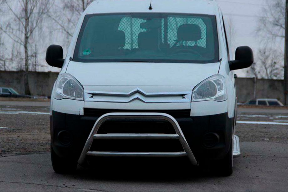 Citroen Berlingo 2008-2018 Bull Bar WT022 (Stainless Steel) Image