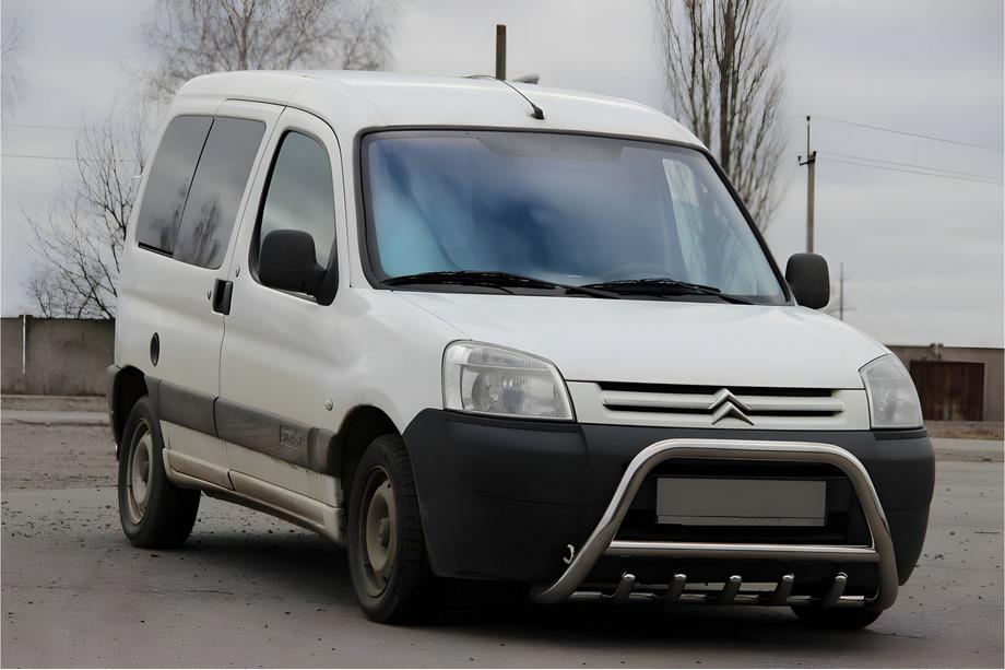 Peugeot Partner 1996-2008 Bull Bar WT003 (Stainless Steel) Image