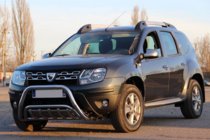 Renault Duster 2008–2017 Bull Bar WT002 (Stainless Steel) photo 4