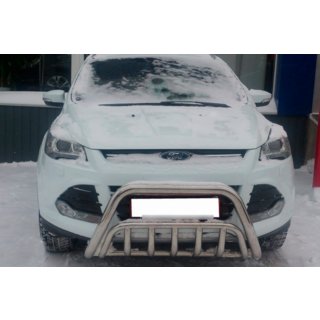 Bull Bar WT002 (Stainless Steel) photo 3