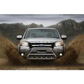Bull Bar WT003 (Stainless Steel) photo 3