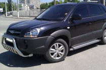 Hyundai Tucson JM 2004- Bull Bar WT002 (Stainless Steel) photo 3