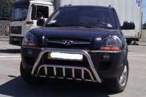 Hyundai Tucson JM 2004- Bull Bar WT002 (Stainless Steel) photo 2