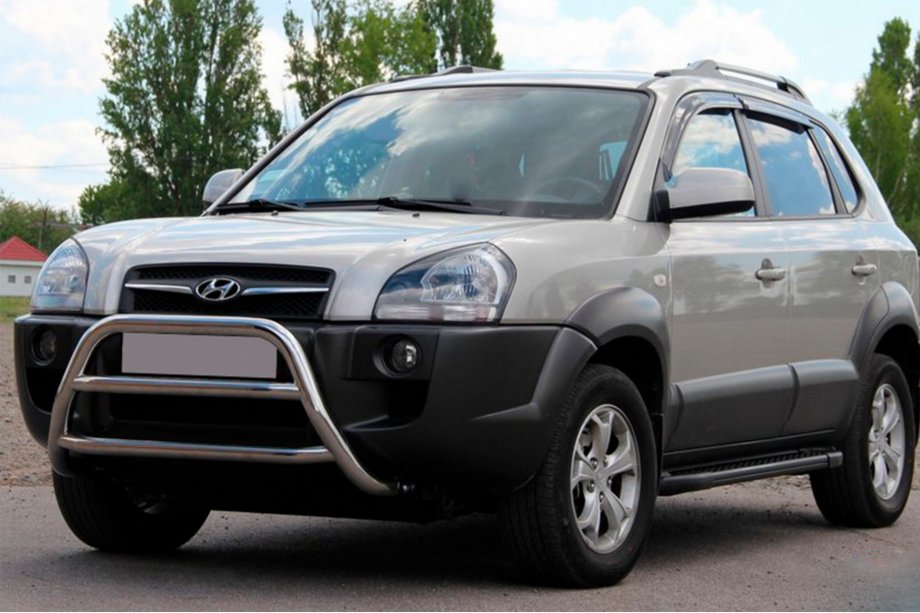 Hyundai Tucson JM 2004- Bull Bar WT022 (Stainless Steel) Image