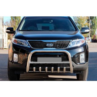 Bull Bar WT021 (Stainless Steel) photo 1
