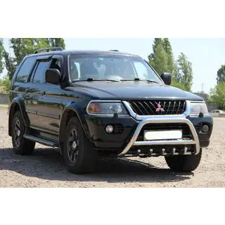 Bull Bar WT003 (Stainless Steel) photo 3