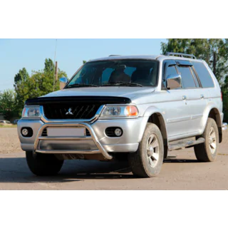 Bull Bar WT022 Stainless Steel photo 1