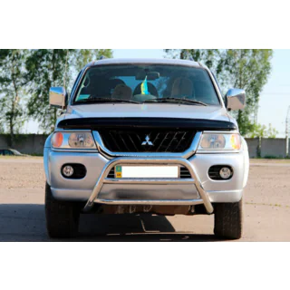 Bull Bar WT022 Stainless Steel photo 2