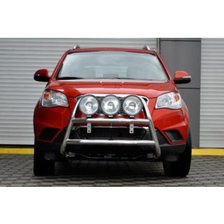 Bull Bar WT018 (Stainless Steel) photo 1