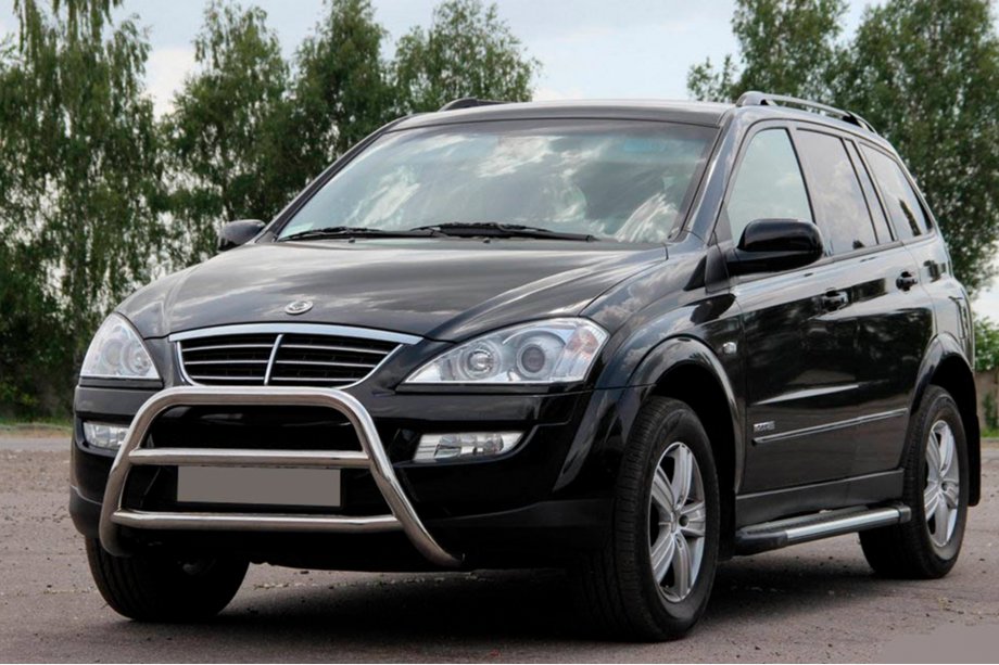 SsangYong Kyron 2005-2014 Bull Bar WT022 Stainless Steel Image