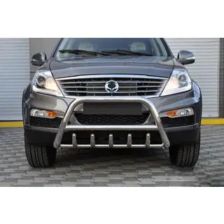 Bull Bar WT003 (Stainless Steel) photo 3