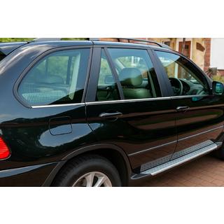 Lower Stainless Steel Door Moldings (6 pcs) BMW X5 E53 1999–2006 photo 1