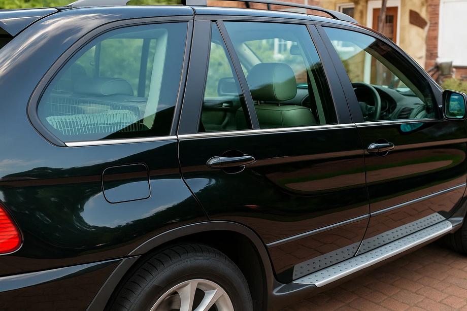 BMW X5 E53 1999–2006 Lower Stainless Steel Door Moldings (6 pcs) Image