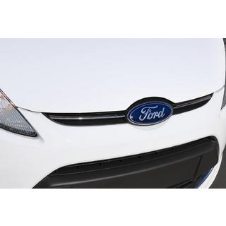 Grille Trim Chrome (2 pcs, Stainless Steel) photo 1