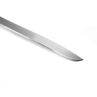 Trunk Trim Stainless Steel photo 4