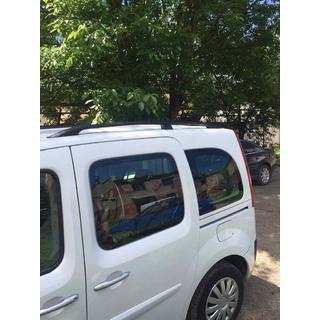 Black Roof Rails photo 4
