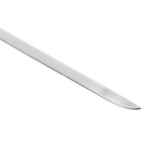 Trunk Trim Stainless Steel photo 4