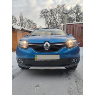 Winter lower grille cover (2013-2017) photo 3