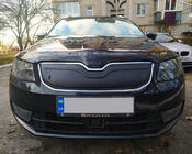 Skoda Octavia III A7 2013-2019 Winter grille cover (2013-2017) glossy photo 1