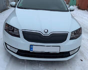 Skoda Octavia III A7 2013-2019 Winter grille cover (2013-2017) glossy photo 2