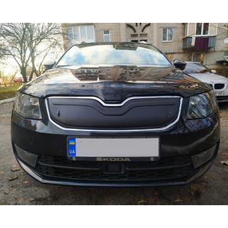 Winter grille cover (2013-2017) photo 1