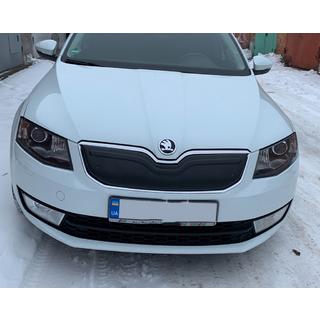 Winter grille cover (2013-2017) photo 2