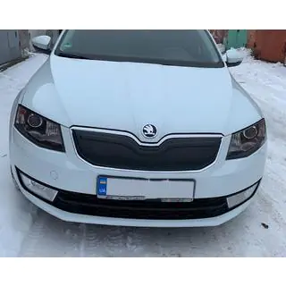 Winter grille cover (2013-2017) photo 2