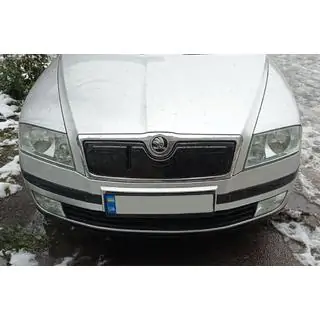 Winter grille cover (upper)