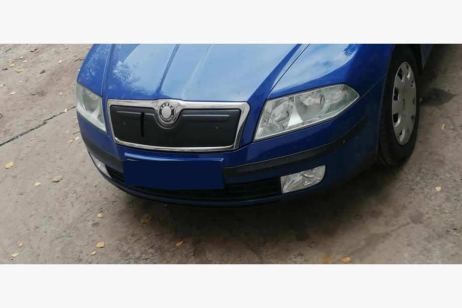 Skoda Octavia II A5 2006-2010 Winter grille cover (upper) Matte Photo 3