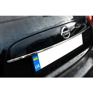 Chrome trim above license plate (stainless steel) photo 2