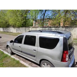Black Roof Rails photo 1