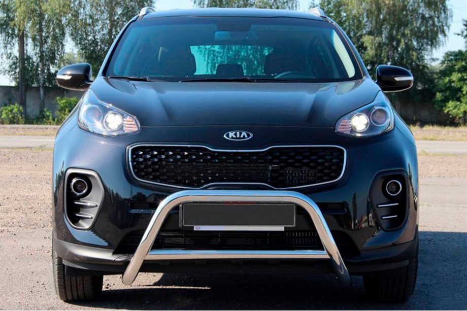 Kia Sportage 2015-2021 Bull Bar WT006 (Stainless Steel) Image