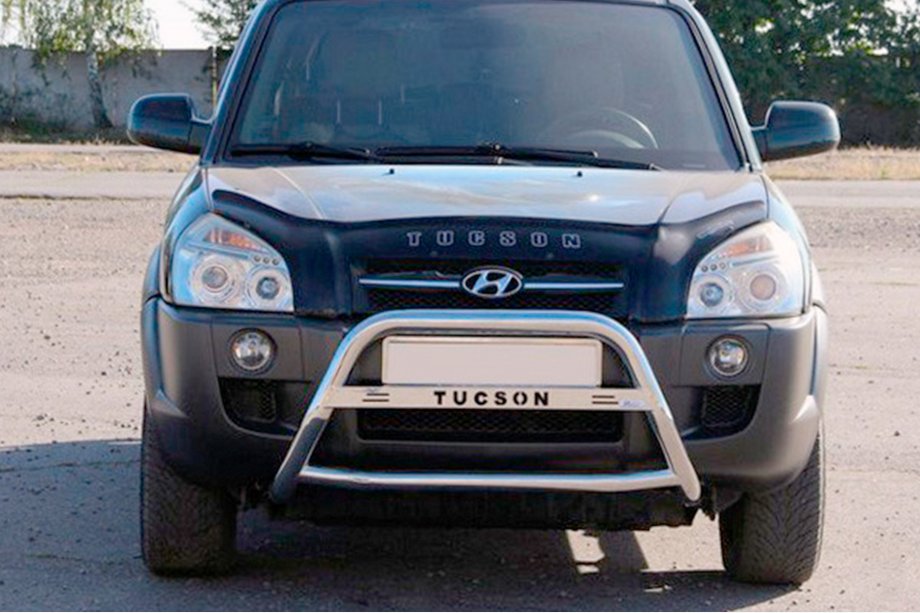 Hyundai Tucson JM 2004- Bull Bar WT025 (Stainless Steel) Image