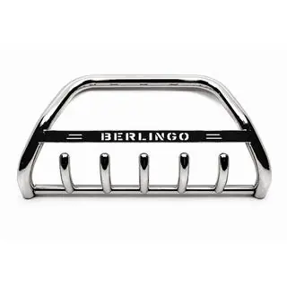 Bull Bar WT004 (Stainless Steel) photo 2