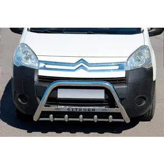 Bull Bar WT004 (Stainless Steel) photo 1